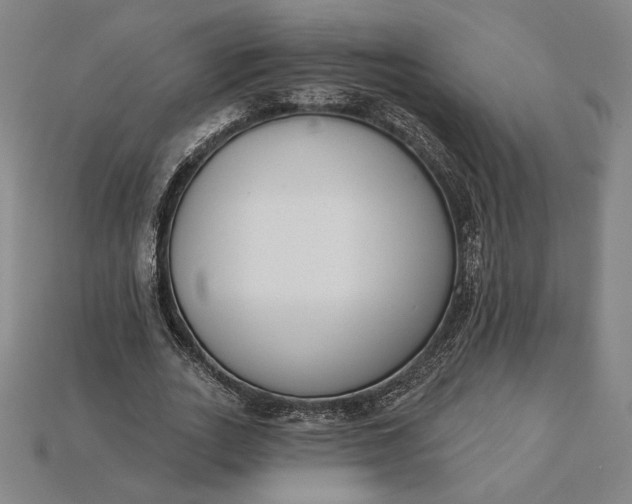X0000115230727200911131643
