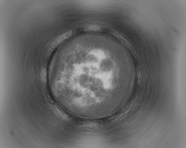 X0000115230729200911131643