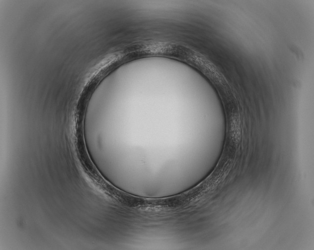 X0000115230730200911131643