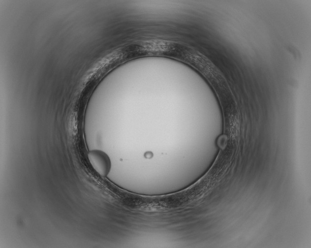 X0000115230731200911131643