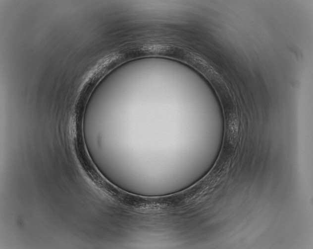 X0000115230734200911131643