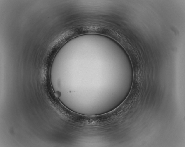 X0000115230735200911131643