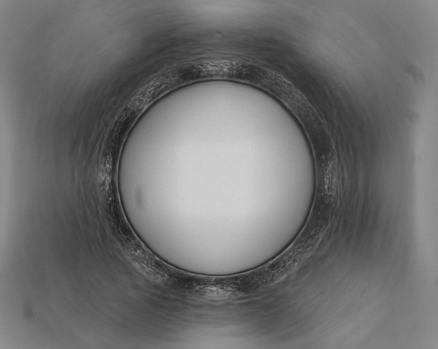 X0000115230737200911131643