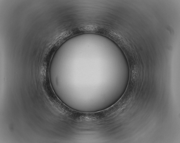 X0000115230739200911131643
