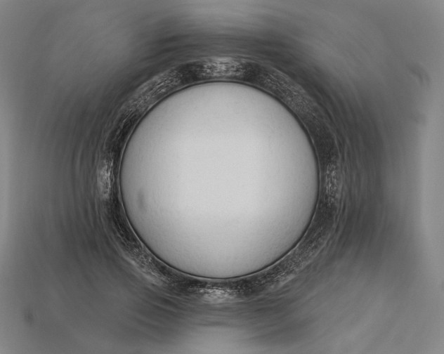 X0000115230741200911131643