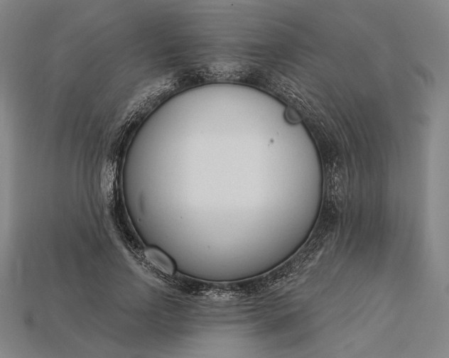 X0000115230742200911131643
