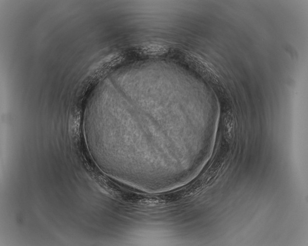X0000115230745200911131643