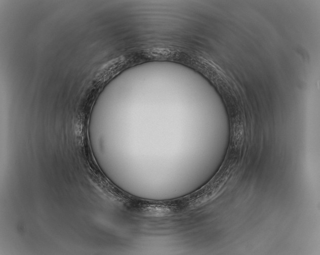 X0000115230749200911131643