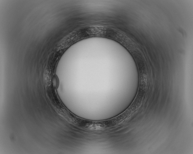 X0000115230751200911131643