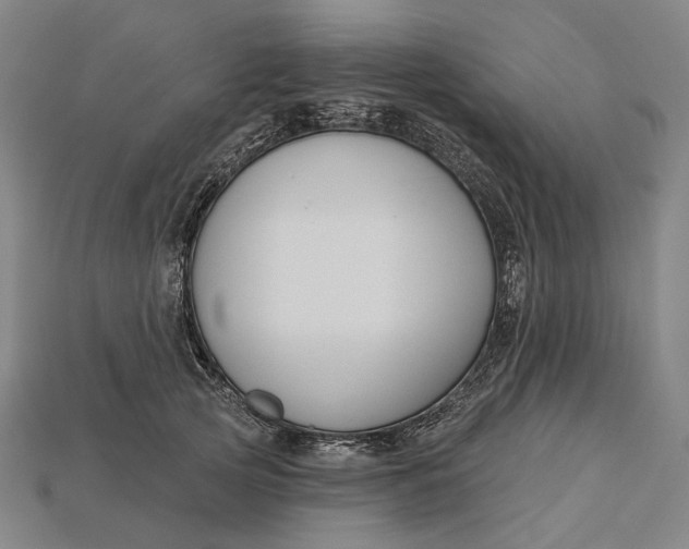 X0000115230753200911131643