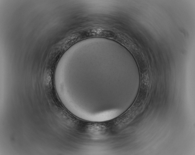 X0000115230754200911131643