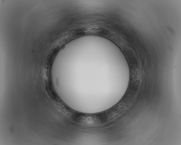 X0000115230755200911131643