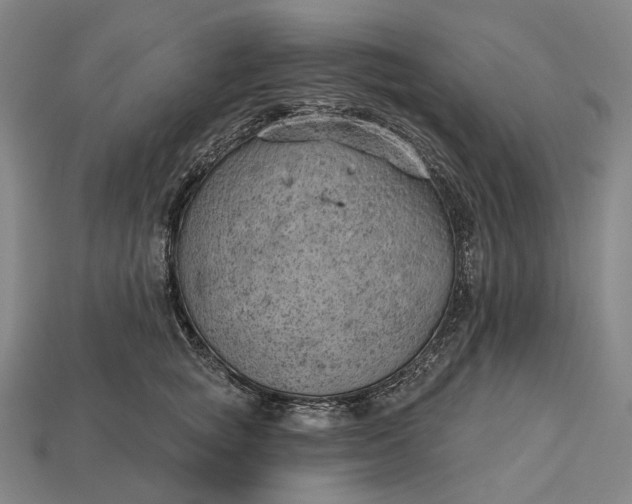 X0000115230757200911131643