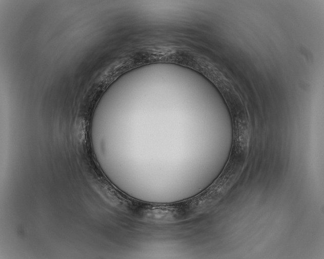 X0000115230758200911131643