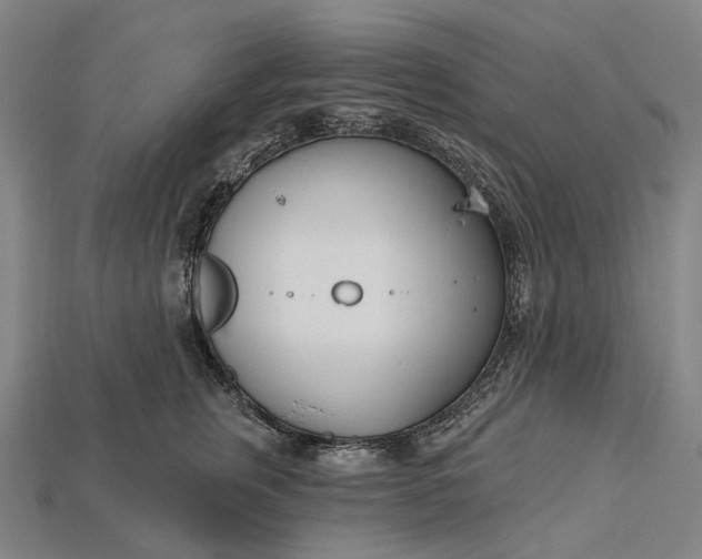 X0000115230759200911131643