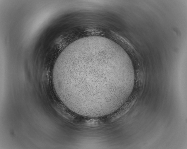 X0000115230761200911131643