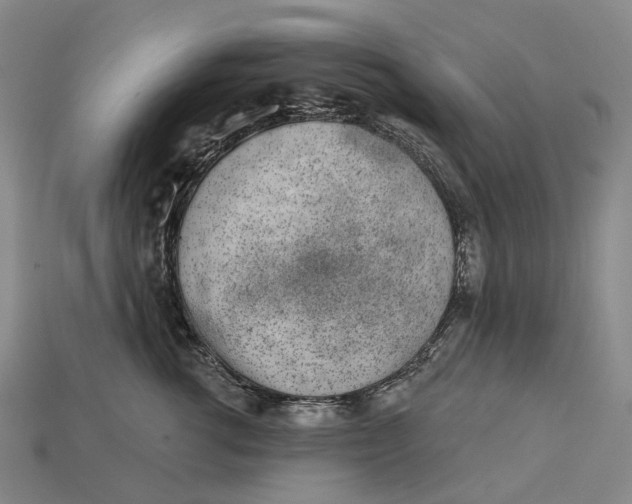 X0000115230762200911131643