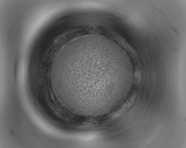 X0000115230765200911131643