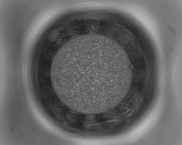 X0000115230766200911131643