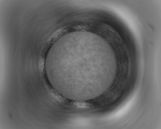 X0000115230767200911131643
