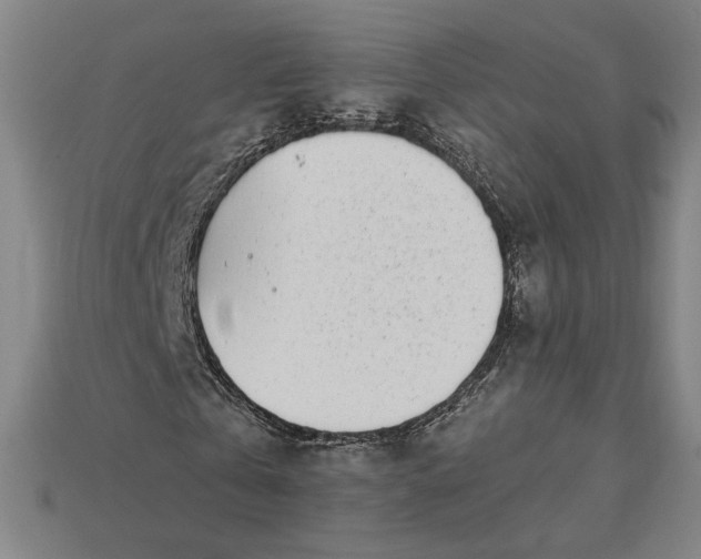 X0000115230769200911131643