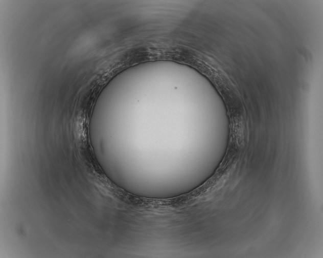 X0000115230770200911131643