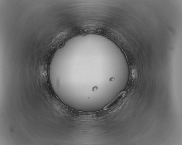 X0000115230771200911131643