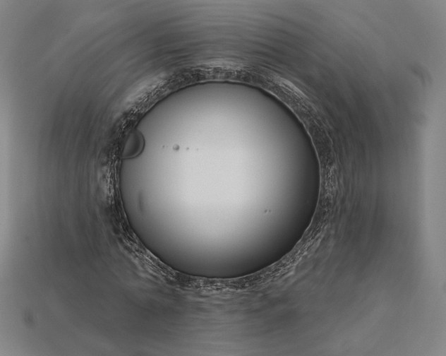 X0000115230774200911131643