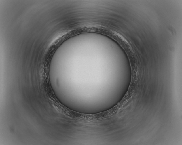 X0000115230775200911131643