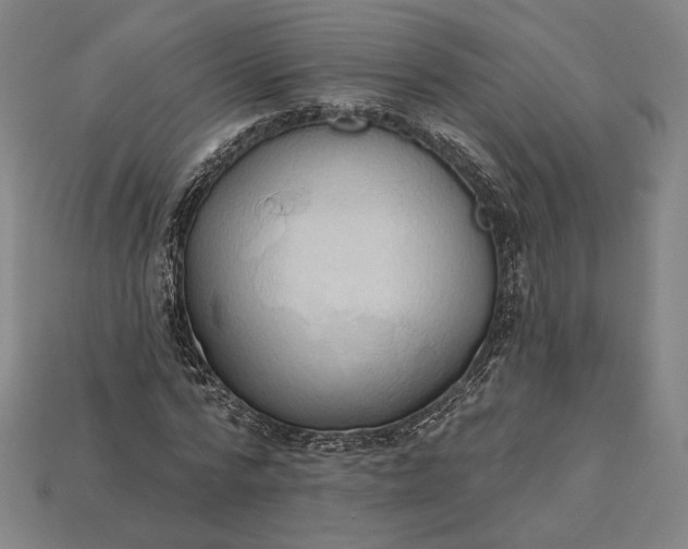 X0000115230776200911131643