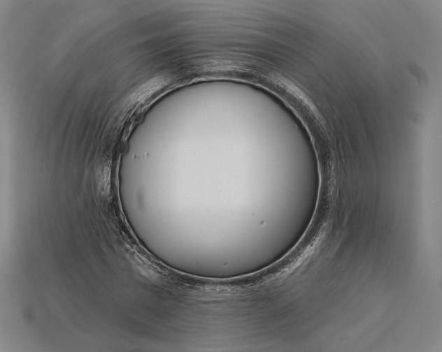 X0000115230777200911131643
