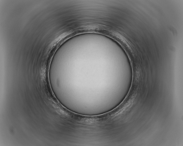 X0000115230778200911131643