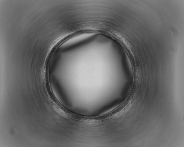X0000115230779200911131643