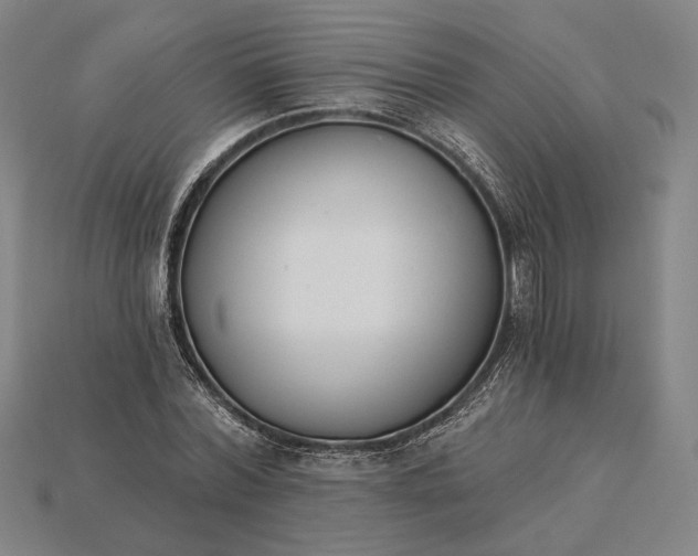 X0000115230780200911131643