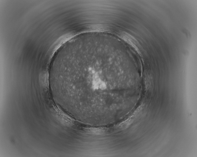 X0000115230781200911131643