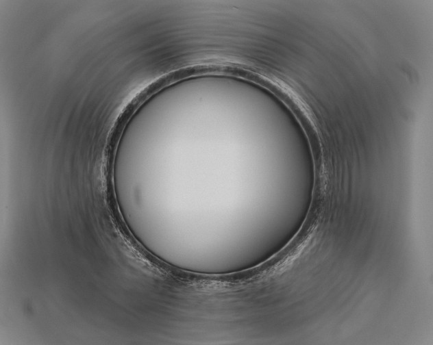 X0000115230783200911131643