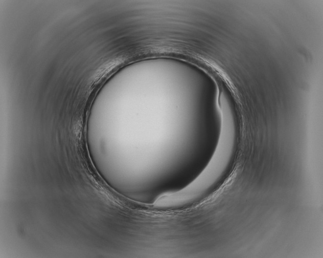 X0000115230785200911131643