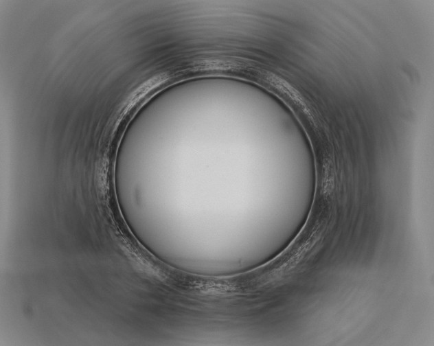 X0000115230786200911131642