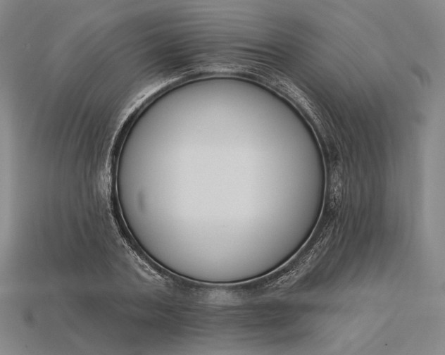 X0000115230787200911131642