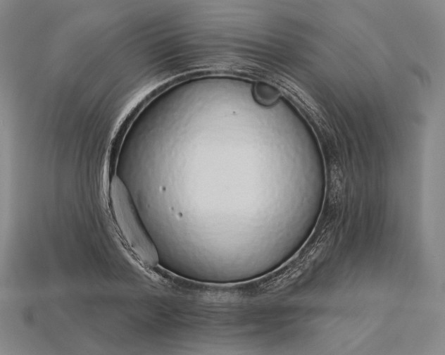 X0000115230788200911131642