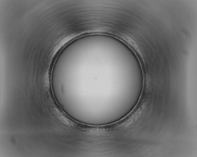 X0000115230789200911131642