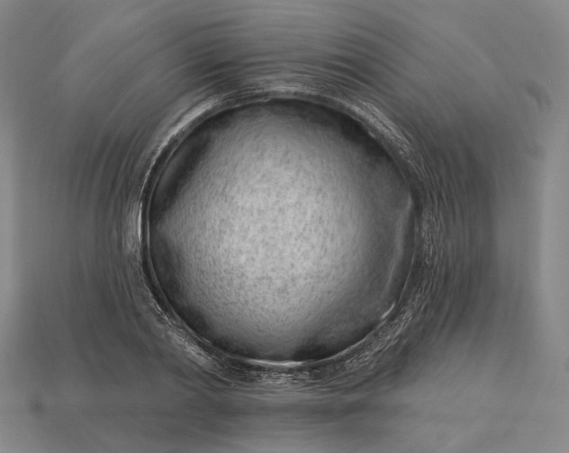 X0000115230790200911131642