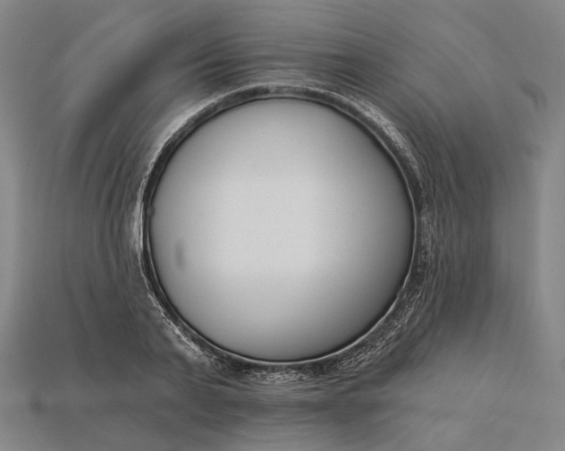 X0000115230791200911131642