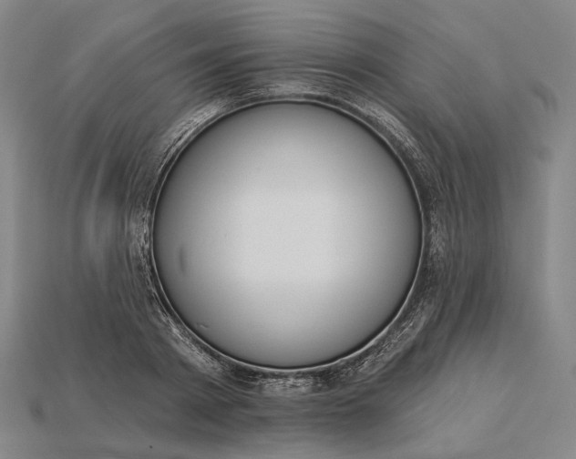 X0000115230793200911131642