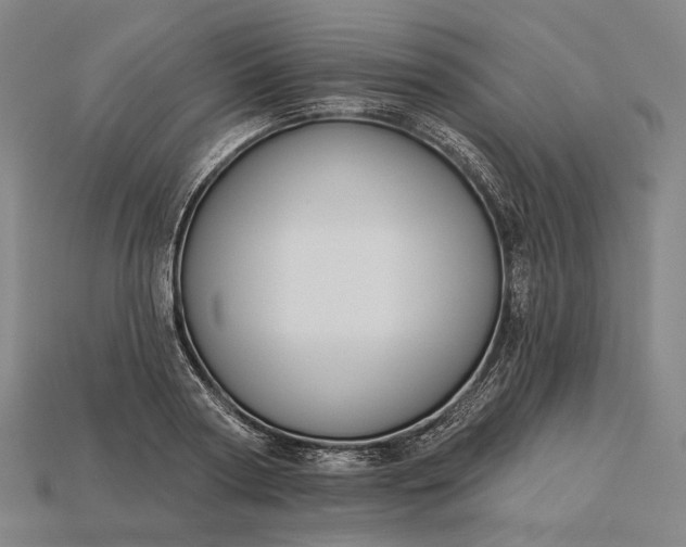 X0000115230794200911131642