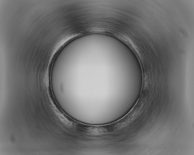 X0000115230795200911131642