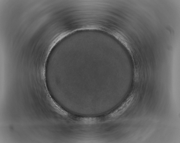 X0000115230797200911131642