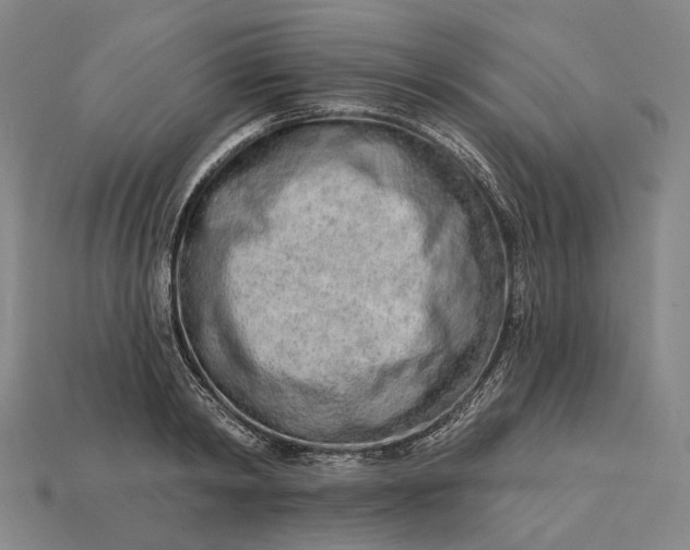 X0000115230798200911131642