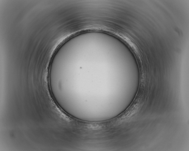 X0000115230799200911131642