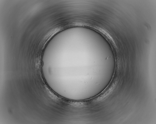 X0000115230801200911131642